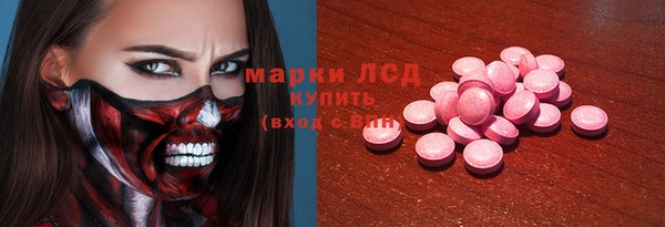 ПСИЛОЦИБИНОВЫЕ ГРИБЫ Арсеньев
