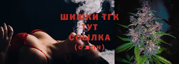 ПСИЛОЦИБИНОВЫЕ ГРИБЫ Арсеньев