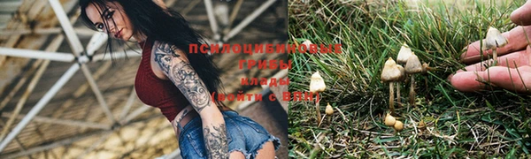 ПСИЛОЦИБИНОВЫЕ ГРИБЫ Арсеньев