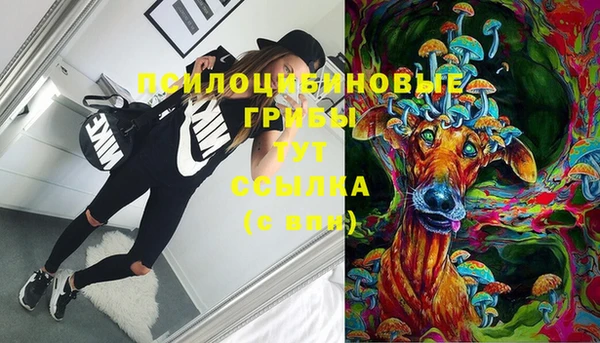 не бодяженный Аркадак